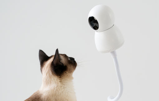 도기캠 AI 펫캠 홈캠 강아지 고양이