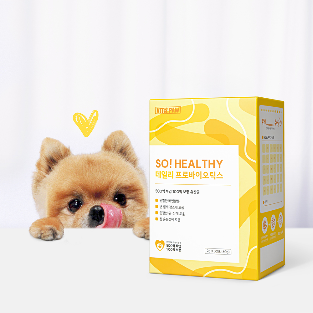 비타파우 강아지 유산균 면연력 고양이 장건강 영양제 데일리 프로바이오틱스 장+면역, 30포, 1개 이미지 7