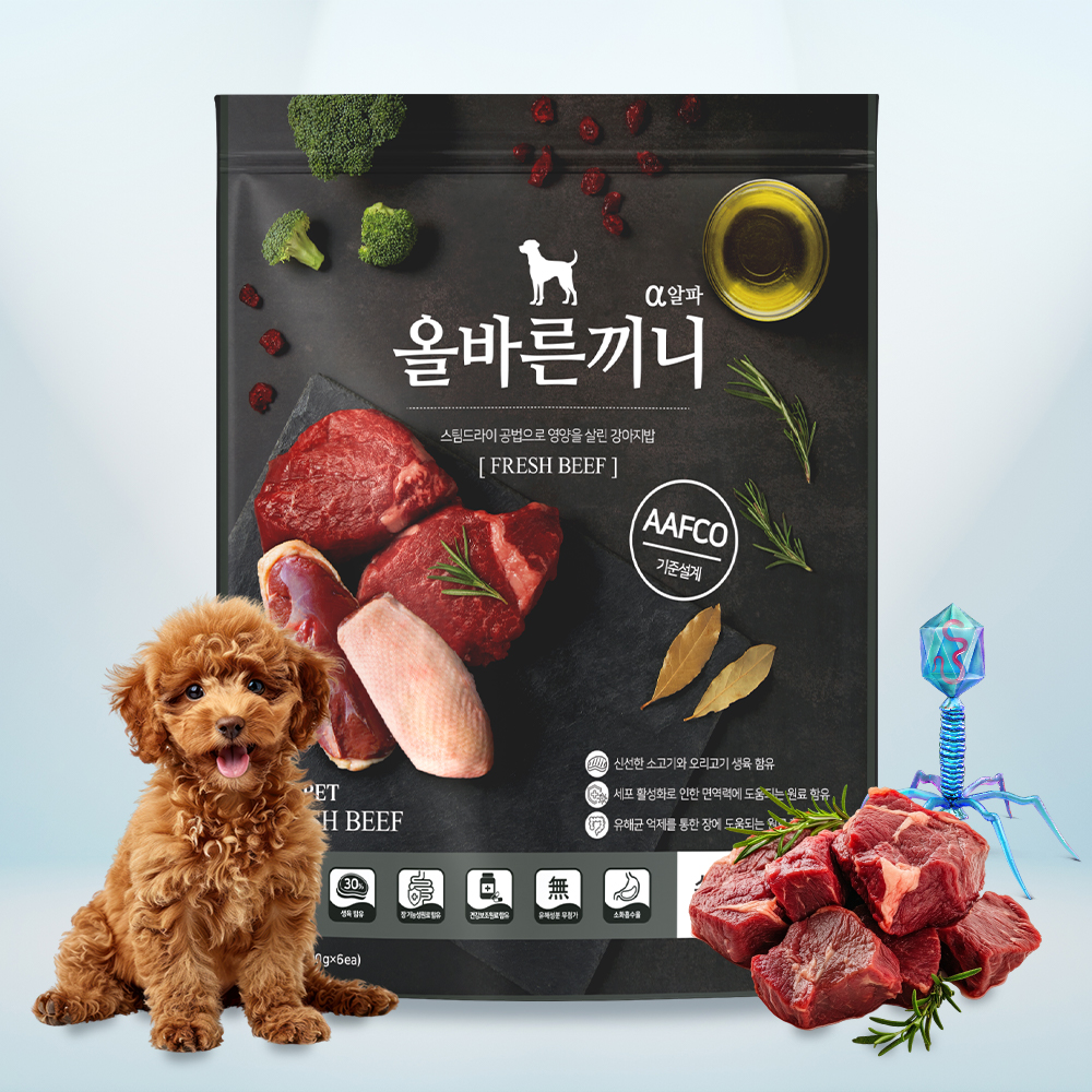 올바른끼니 알파 소고기 장건강 스팀사료 기호성좋은강아지사료 AFFCO기준 소고기+박테리오파지, 1.2kg, 1개