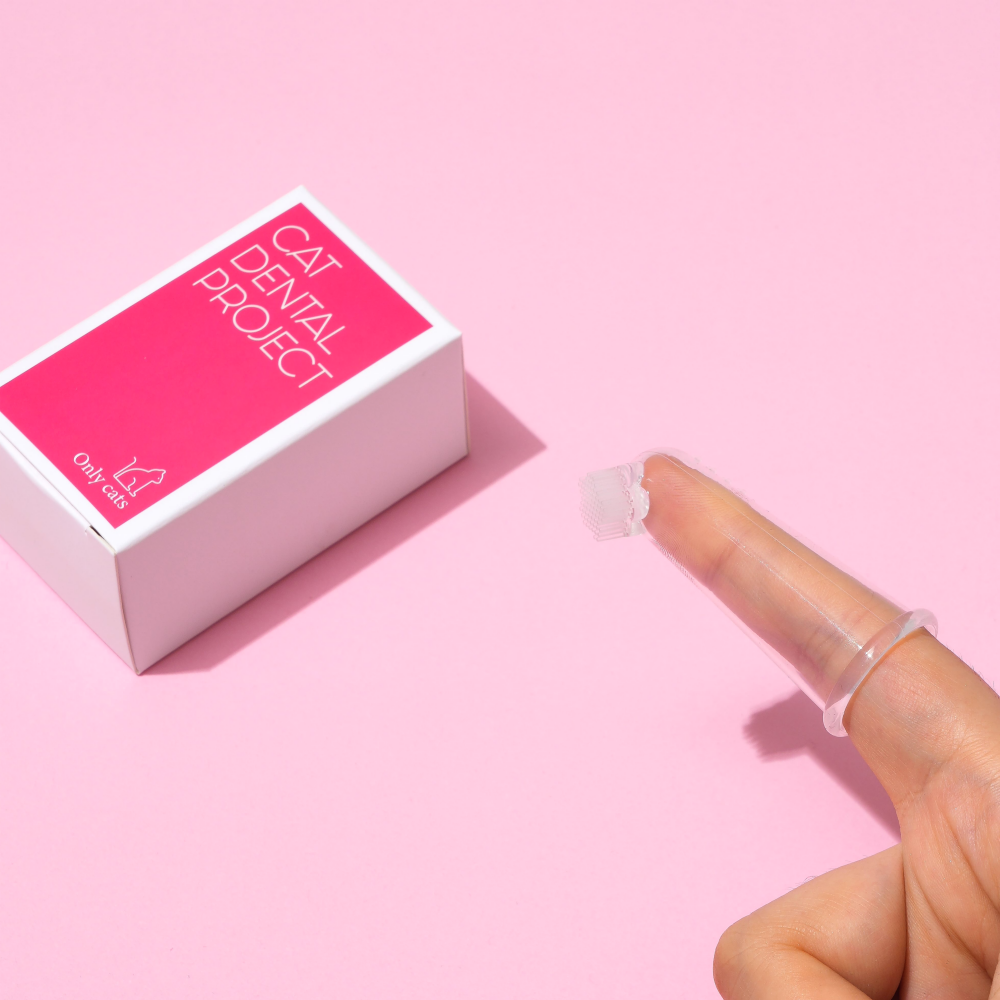 캣디피 플라워 핑거칫솔 고양이 손가락 칫솔 CATDP 반려묘 아기고양이 양치 이미지 4
