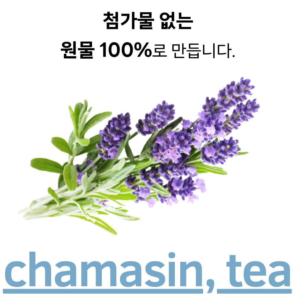 [50티백] 라벤더차 티백 라벤더티 카페인없는 허브 차 50개입, 1개 - 상세 이미지 2
