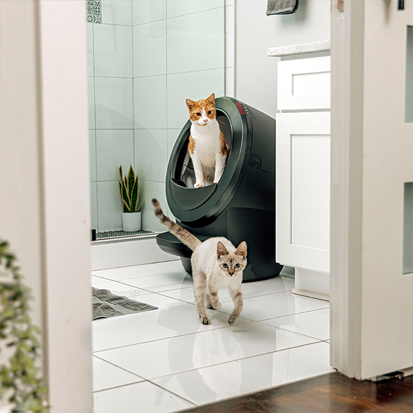 [Hopper Package] 리터로봇4 고양이 자동 화장실(블랙) + 리터호퍼