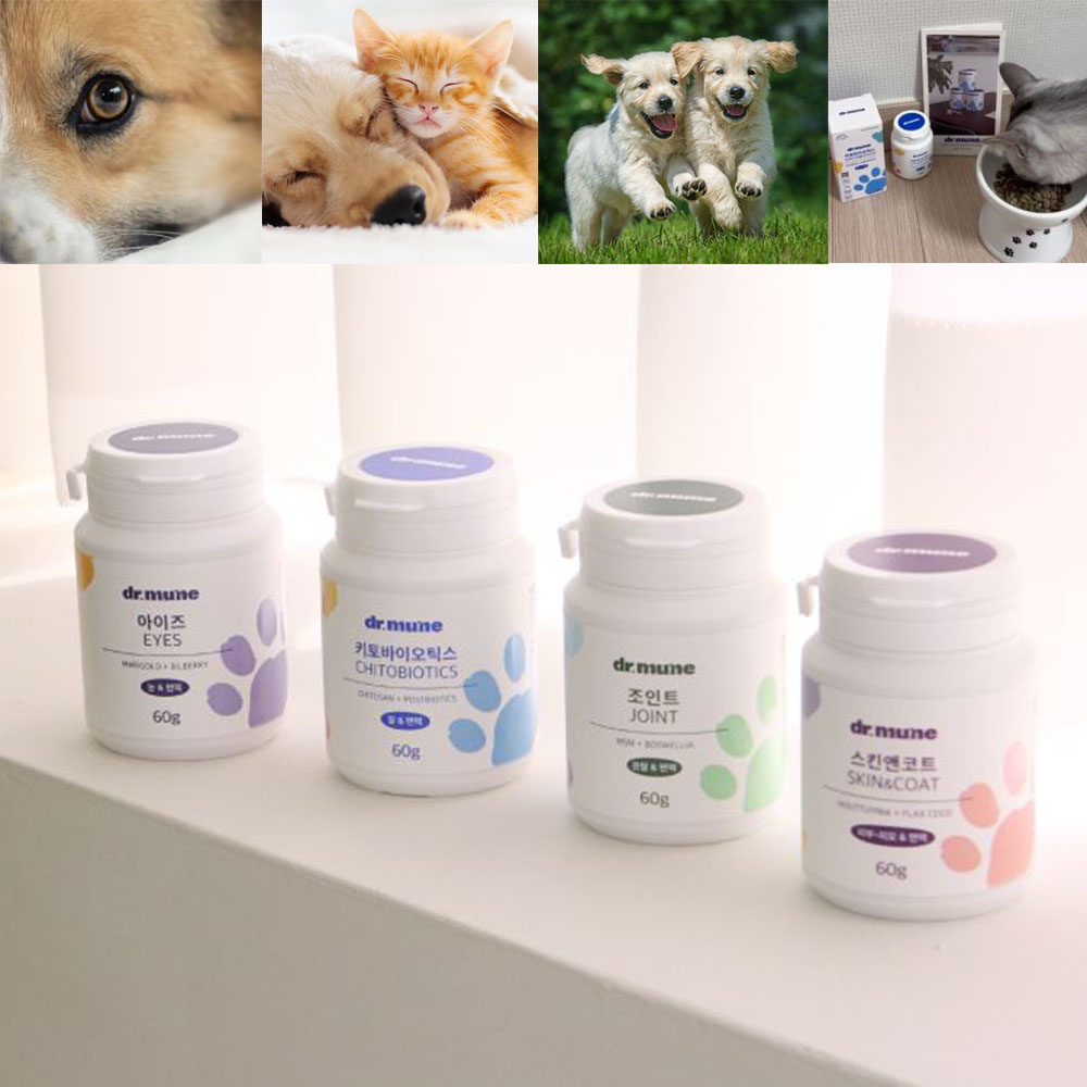 반려동물 천연 파우더 눈물자국 염증 피부 뼈 장건강 관리