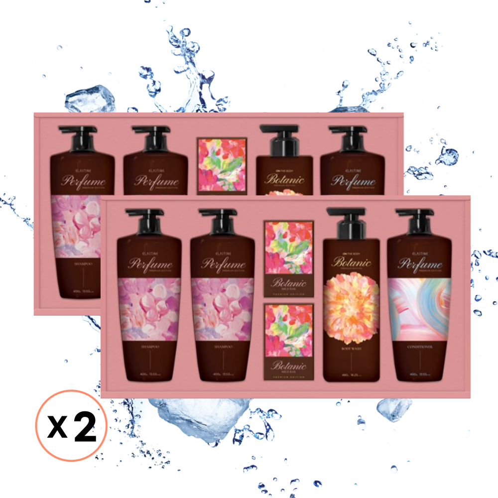 엘지생활건강 정성담은 샴푸 바디 프리미엄 선물세트 X 2개 - 상품 이미지
