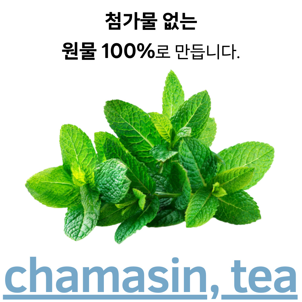 [100티백] 페퍼민트 차 페퍼민트티 페파민트 티백 50개입, 2개 - 상세 이미지 2