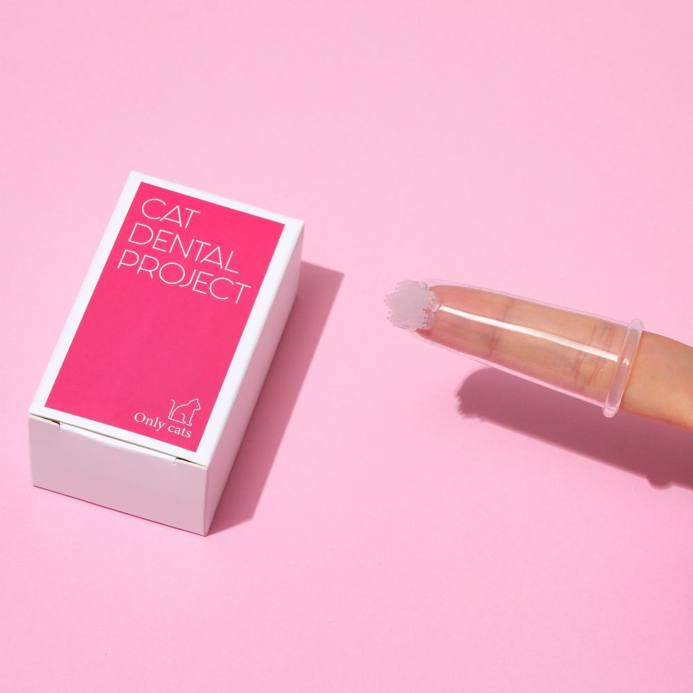 캣디피 플라워 핑거칫솔 고양이 손가락 칫솔 CATDP 반려묘 아기고양이 양치 이미지 1