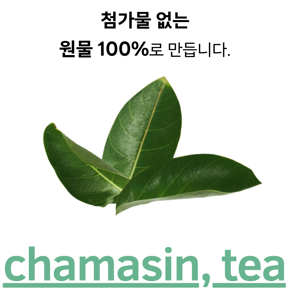[100티백] 바나바잎차 티백 바나나잎차 당뇨에좋은 혈당낮추는 차 50개입, 2개 - 상세 이미지 2