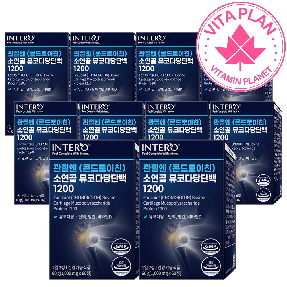 콘드로이드 콘드로이틴 소연골 콘드로이친 1200 뮤코다당단백 관절엔 콘도로친 저분자 콜라겐 60정, 10개
