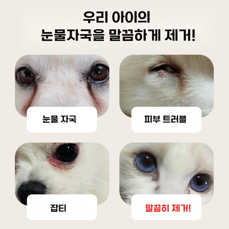 블랙베리 강아지 눈물자국 제거 패드 눈물지우개 고양이겸용 - 상세 이미지 2