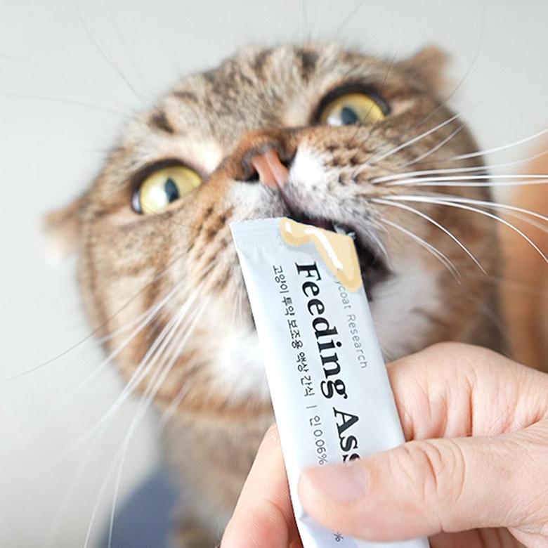 신부전고양이 신장 액상간식 인 0.06% 나트륨0.22% 피딩어시스트 닭고기, 10g, 30개