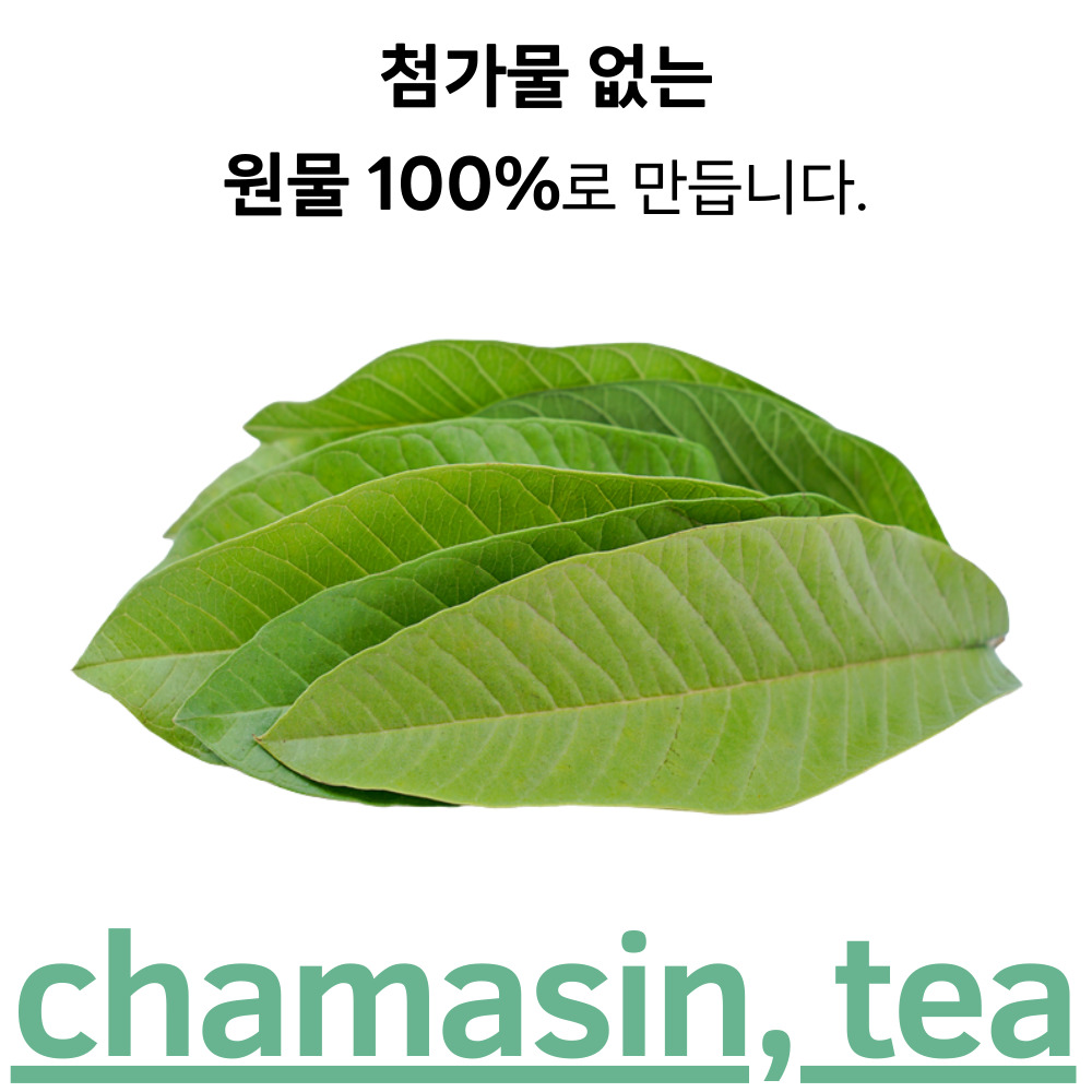 구아바잎 50티백 구아바잎차 당뇨에좋은 마시는 차 - 상세 이미지 2