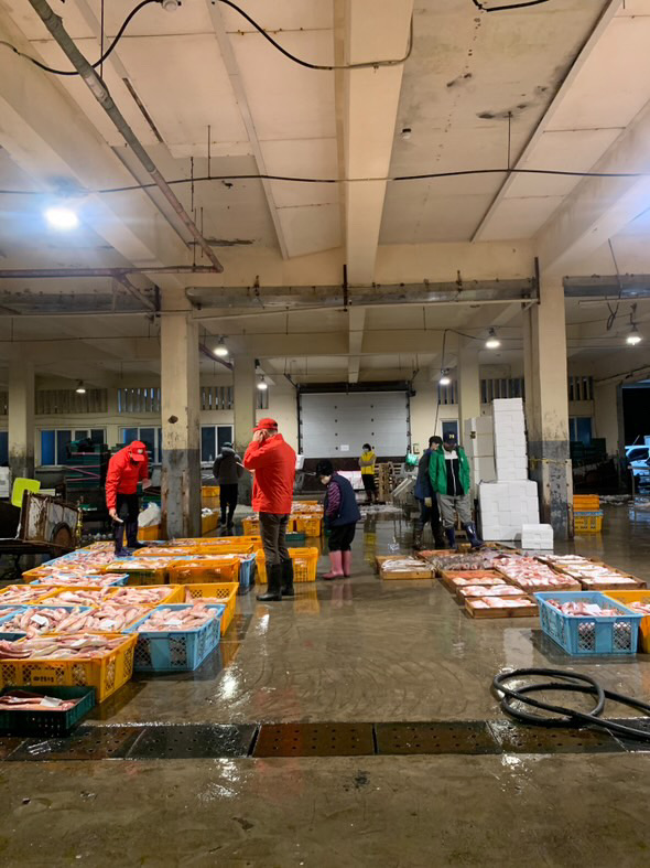 반건조 옥돔 참옥돔 제주산 옥돔 선물셋트 - 상세 이미지 4