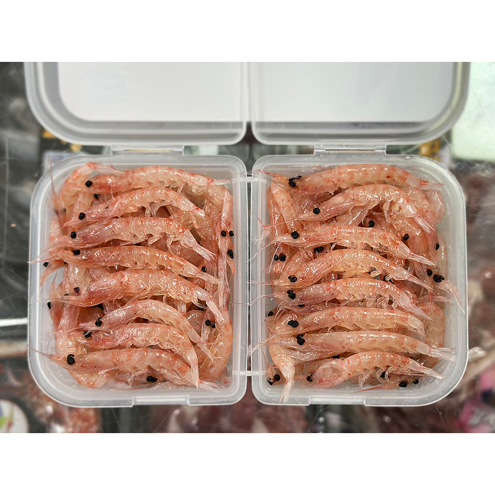 사이즈가 큰 선별 크릴 바다미끼 최강자 대물 각크릴 약115g 감성돔 낚시미끼 백크릴