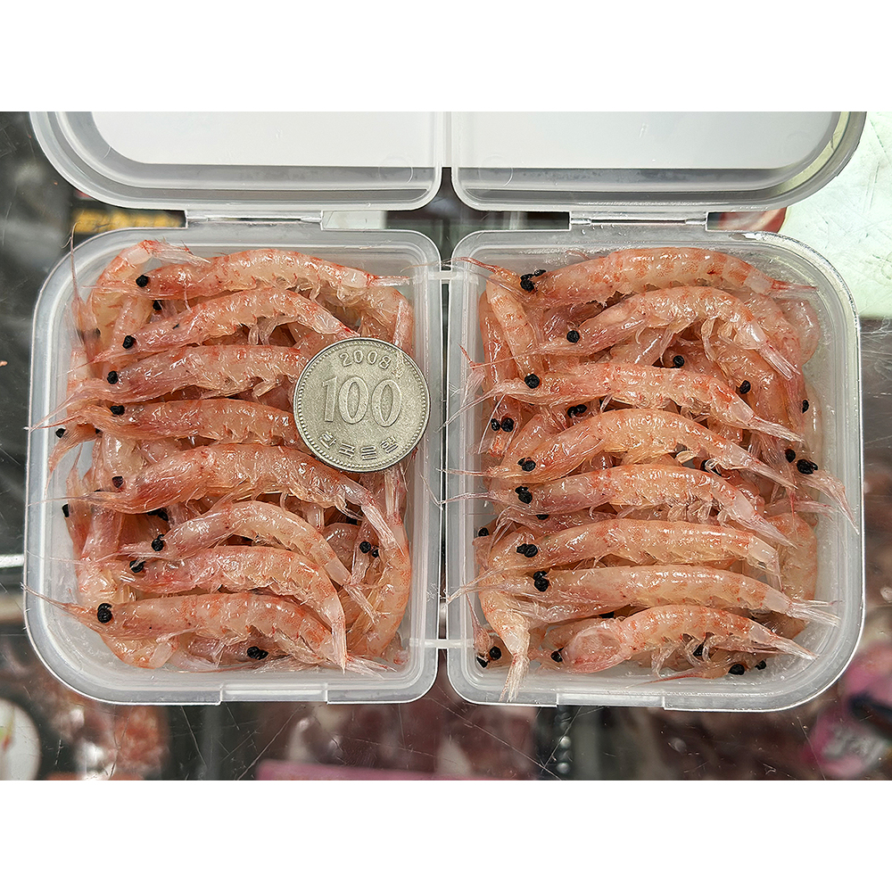 사이즈가 큰 선별 크릴 바다미끼 최강자 대물 각크릴 약115g 감성돔 낚시미끼 백크릴 - 상세 이미지 4