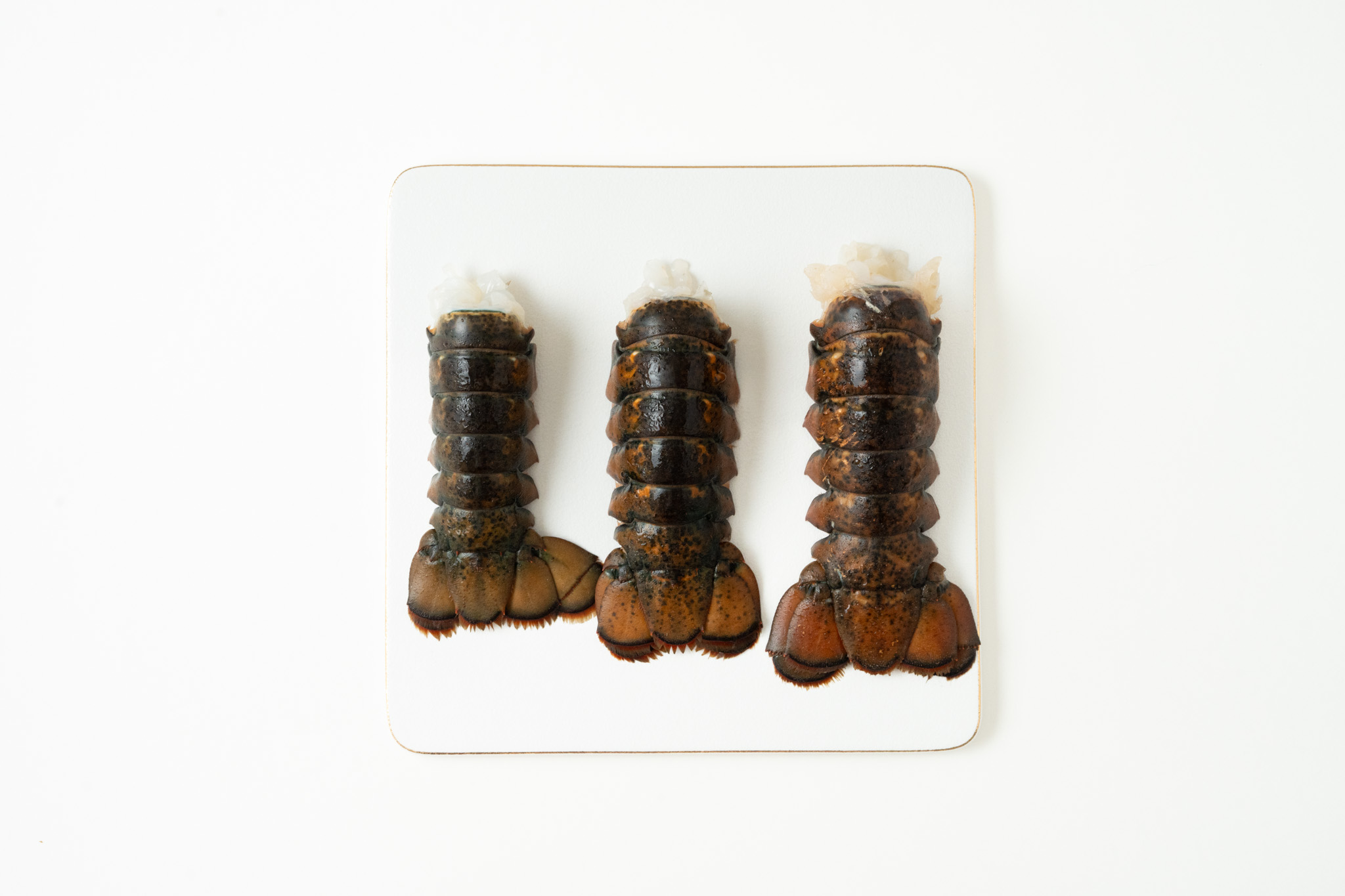 랍스터 테일 5마리 (500-700g) 냉동 랍스타 꼬리 바다가제 4-5oz 이미지 7
