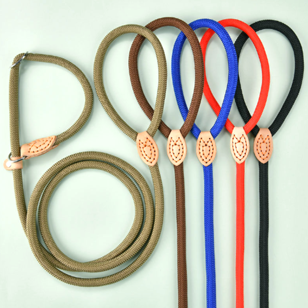 퍼플펫 강아지 목줄 소형견 대형견 목줄 훈련용 오리지널 S 솔직 후기 | 실제 사용자 리뷰 총정리 - 대표 이미지