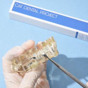 캣디피 고양이 치석제거기 CATDP 홈케일러 고양이 양치 치석제거 스케일... 솔직 후기 | 실제 사용자 리뷰 총정리 - 상품 이미지 3