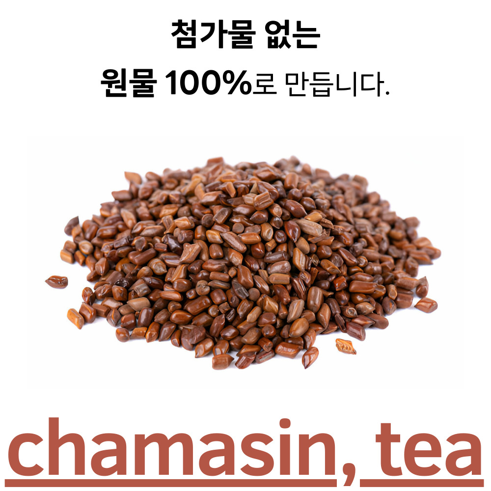 [50티백] 국산 결명자 차 티백 볶은결명자 맛있는 눈에좋은차 50개입, 1개 - 상세 이미지 2
