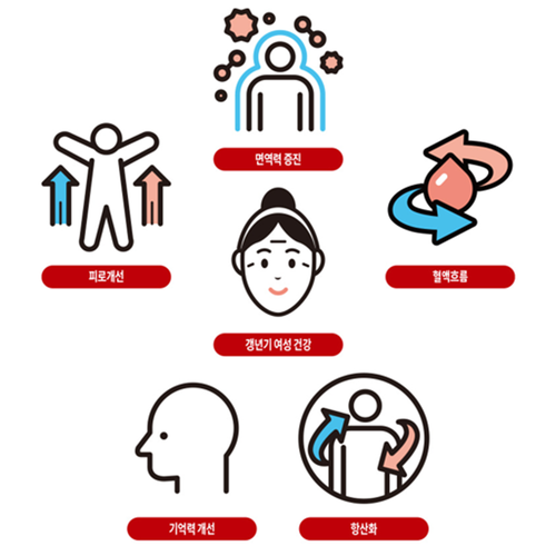 대동고려삼 홍삼정 프리미엄 39 농축액 100% 240g 2개 국내산 6년근 홍삼 진액 이미지 8