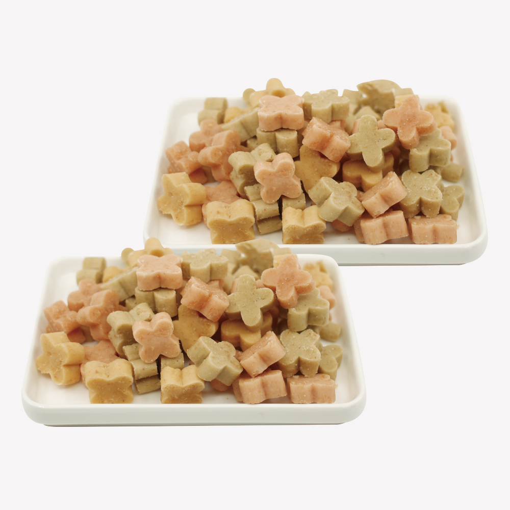 노즈워크, 훈련용 간식 냠냠이 부드럽고 씹기 좋은 강아지 수제간식 연어, 100g, 2개 - 상품 이미지