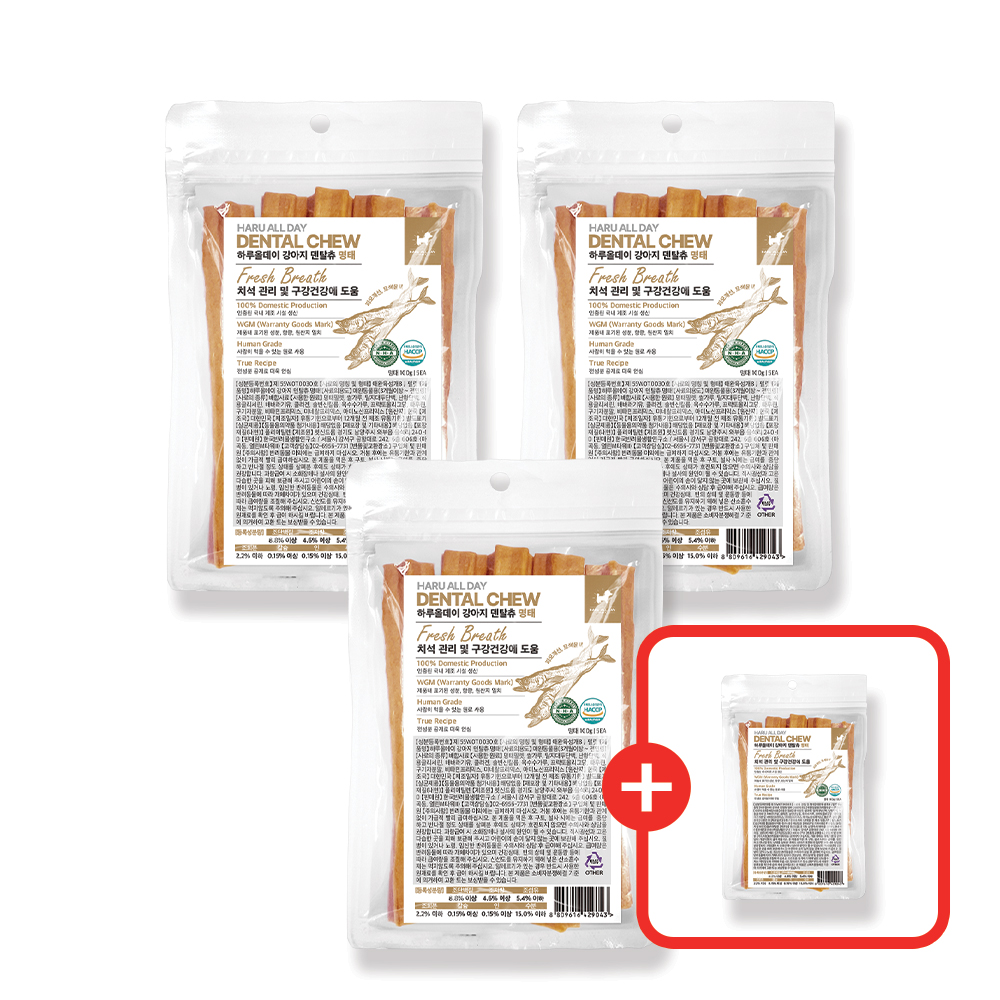 3+1 하루올데이 강아지 덴탈츄 반려견 양치 치석 입냄새 제거 덴탈 껌 치태 북어, 100g, 4개