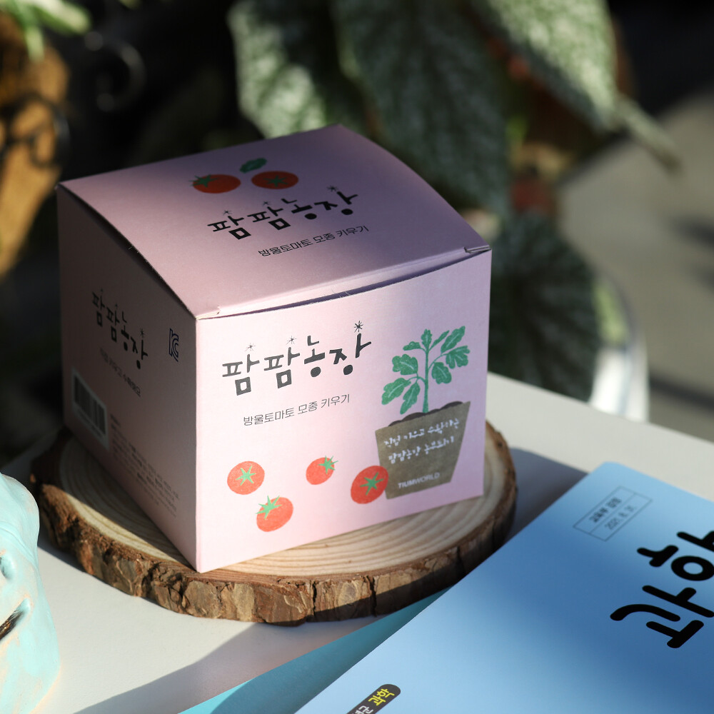 방울토마토 키우기 씨앗 재배키트 관찰일지 - 상세 이미지 4