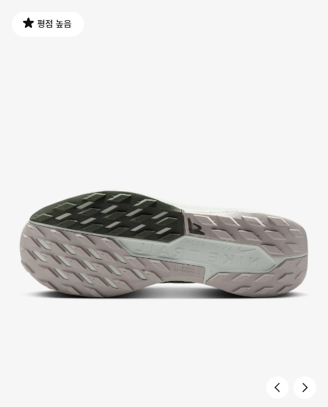 국내매장판 나이키 페가수스 트레일 5 GORE-TEX D4 FQ0908-102 - 상세 이미지 2