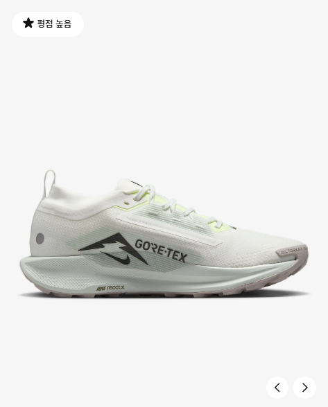 국내매장판 나이키 페가수스 트레일 5 GORE-TEX D4 FQ0908-102 - 상세 이미지 3