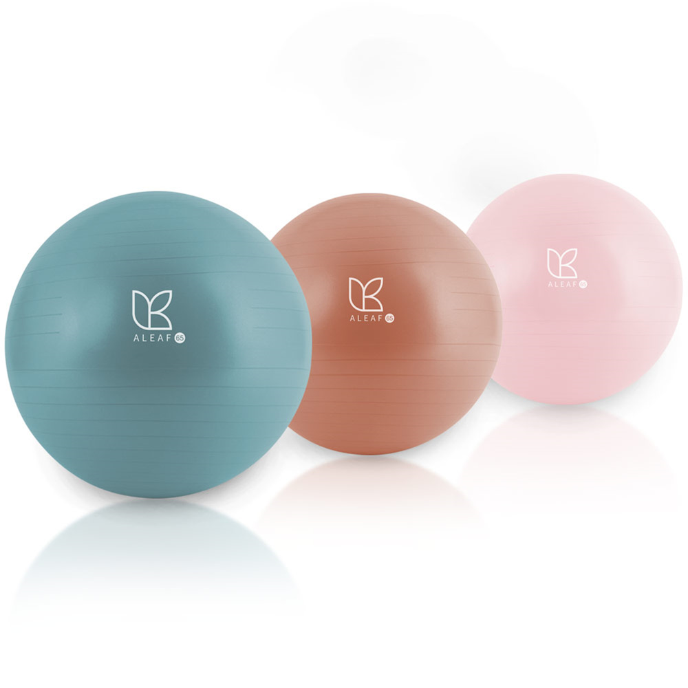 아리프 안티버스트 임산부 짐볼 65cm 스트레칭 요가