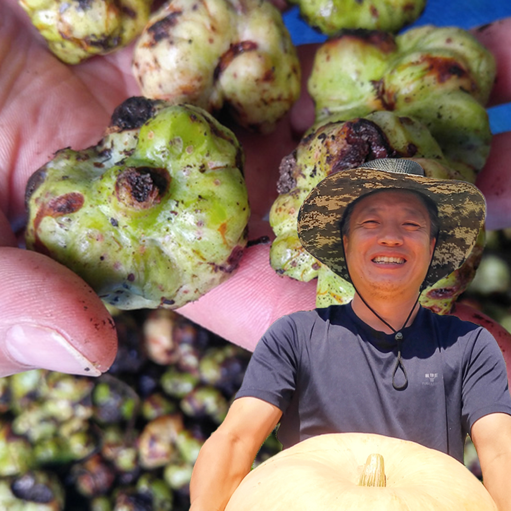 개다래열매즙 액기스 충영 자연산100% 국내산 53포 맛있게 먹은 솔직 후기 - 대표 이미지