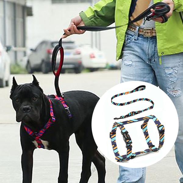 세트 H형 하네스 S 강아지 산책줄 가슴줄 리드줄 외출 튼튼한 산책줄 목줄 개줄 대형견 중형견 소형견