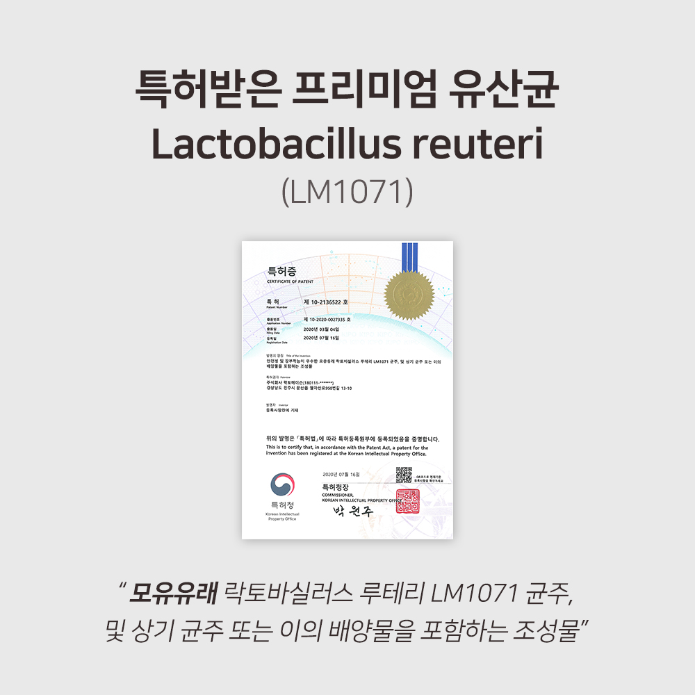 바디프로젝트 혈당케어 유산균 장용성 프로바이오틱스 30캡슐 3박스 이미지 8
