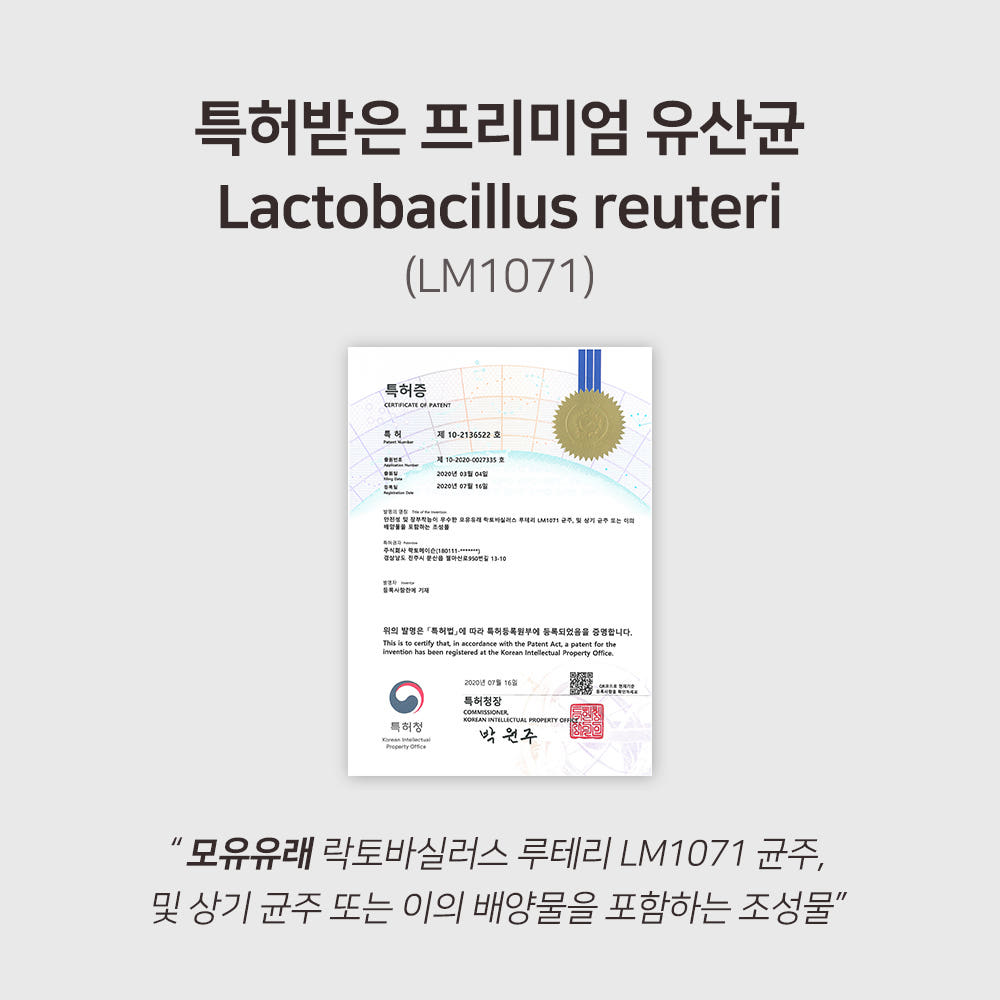 혈당 유산균 제품 비교