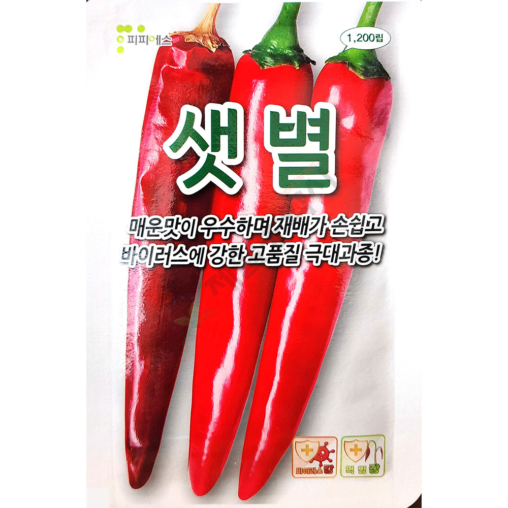 샛별 1200립 피피에스 25년 고추씨앗 : 제일농약사