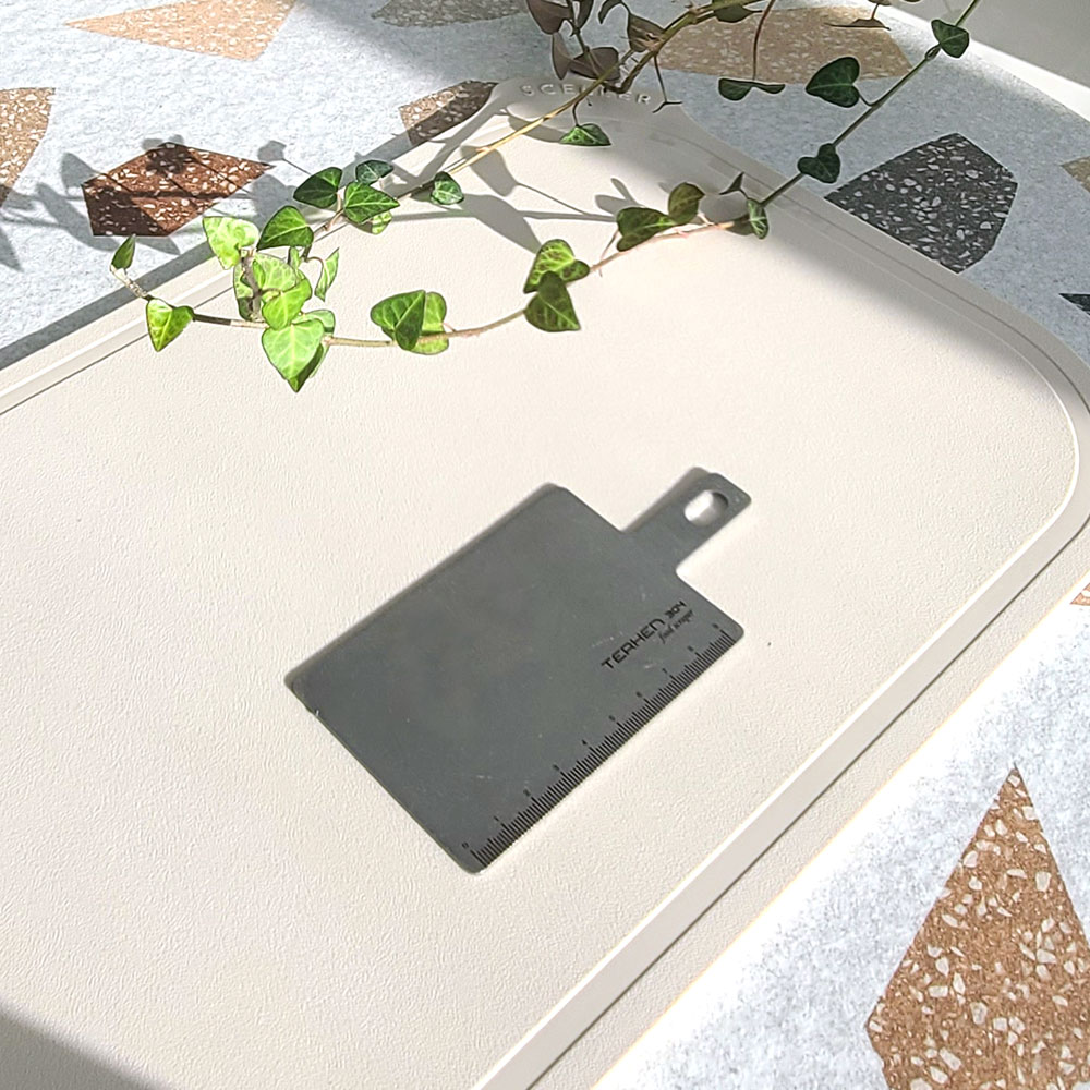 테르헨 304 스테인레스 푸드 스크래퍼 13cm, 미니도마