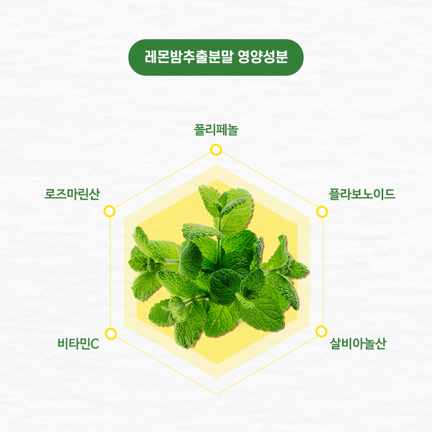 레몬밤 단델리온 민들레 복합 추출물 로즈마린산 분말 가루 파우더 360g - 상세 이미지 5