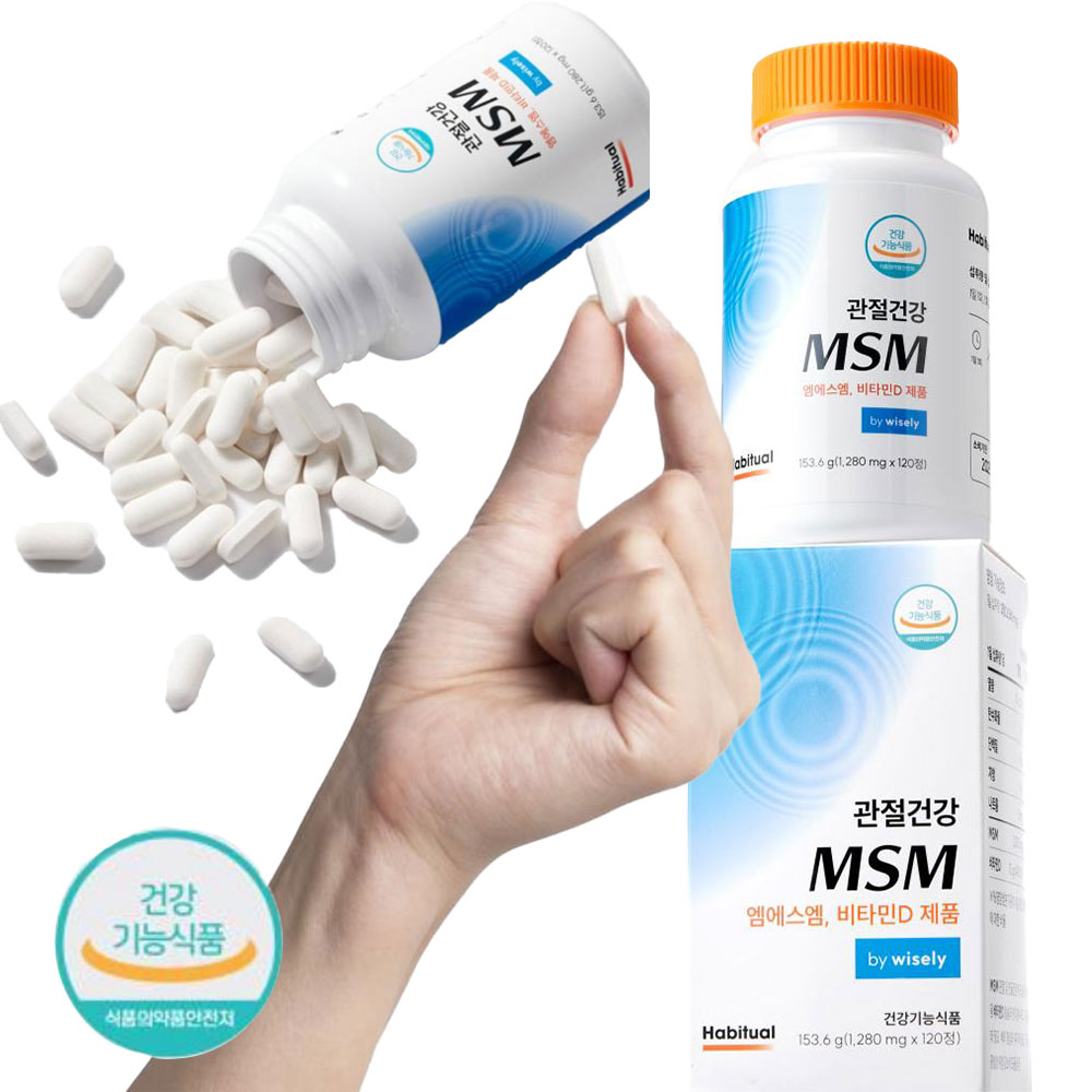 관절 연골 뼈 건강 약 엠에스엠 msm 영양제
