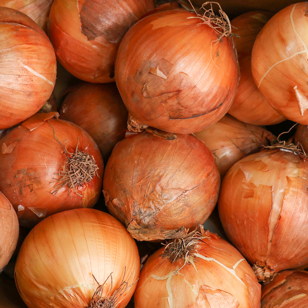 전남 무안/함평 친환경 무농약 양파 3kg/4.5kg 중상 - 상품 이미지