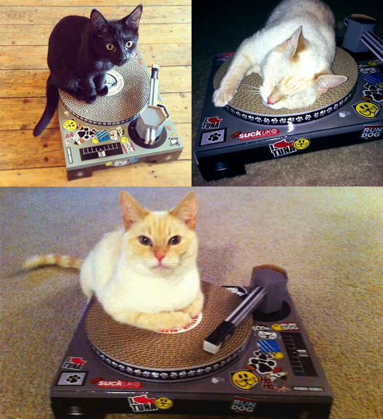 SUCK UK DJ CAT 고양이 발톱 골판지 스크레쳐 턴테이블 RON-sukp003 - 상세 이미지 2