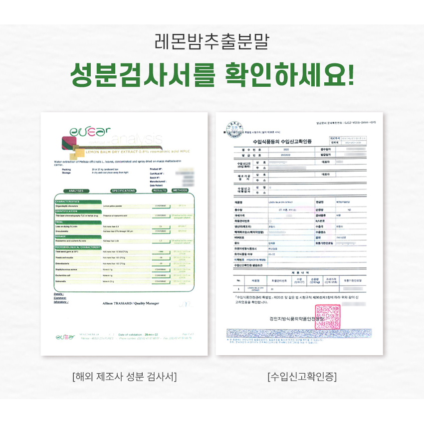 레몬밤 단델리온 민들레 복합 추출물 로즈마린산 분말 가루 파우더 360g 이미지 7