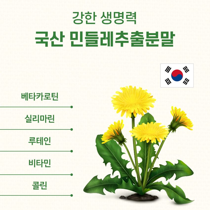 레몬밤 단델리온 민들레 복합 추출물 로즈마린산 분말 가루 파우더 360g 이미지 8