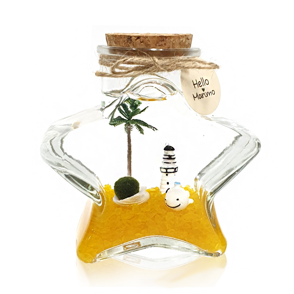 마리모 키우기 DIY 세트 등대고래별 마리모포함