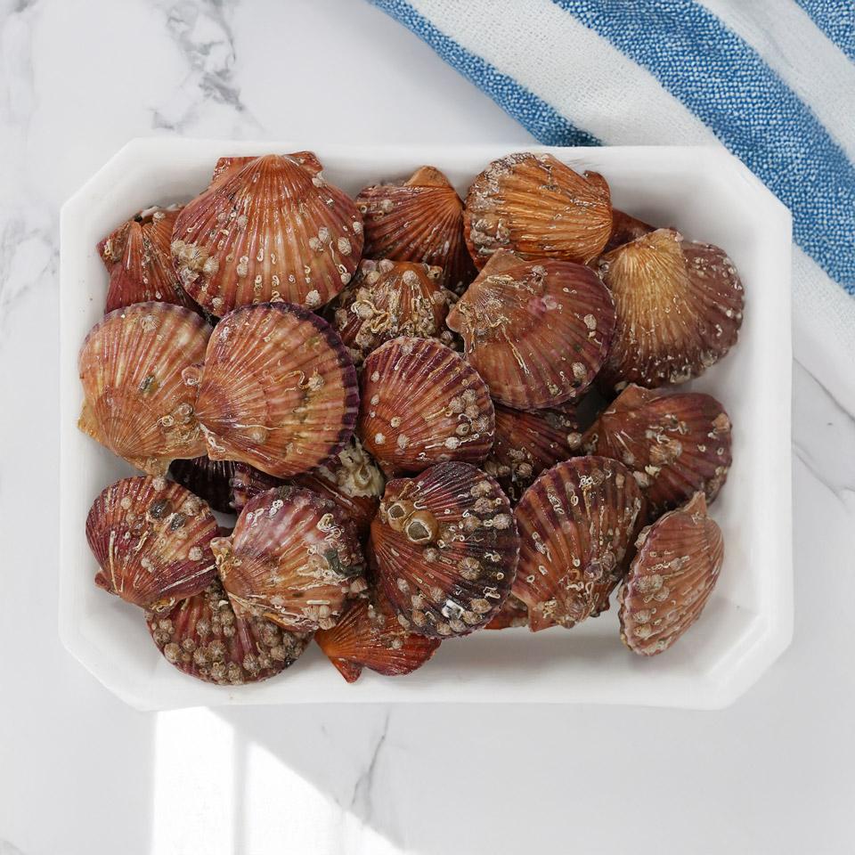 메가마트 가리비(구이&찜용) 1kg(팩)