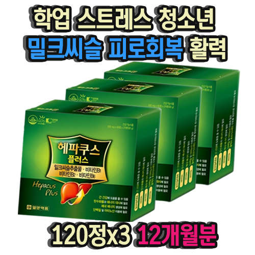 학업 스트레스 청소년 밀크씨슬 피로회복 활력 개선 120정x3 12개월분 긴장완화 면역력 밀크씨슬추출물 면역력높이는영양제 : 미르테일