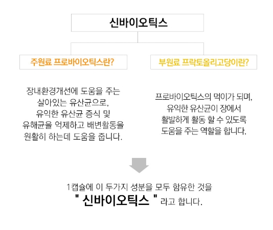 캐나다 컴플리트 프로바이오틱스 비피도박테리움롱검 백억 유산균 60캡슐 비피더스유산균 이미지 7