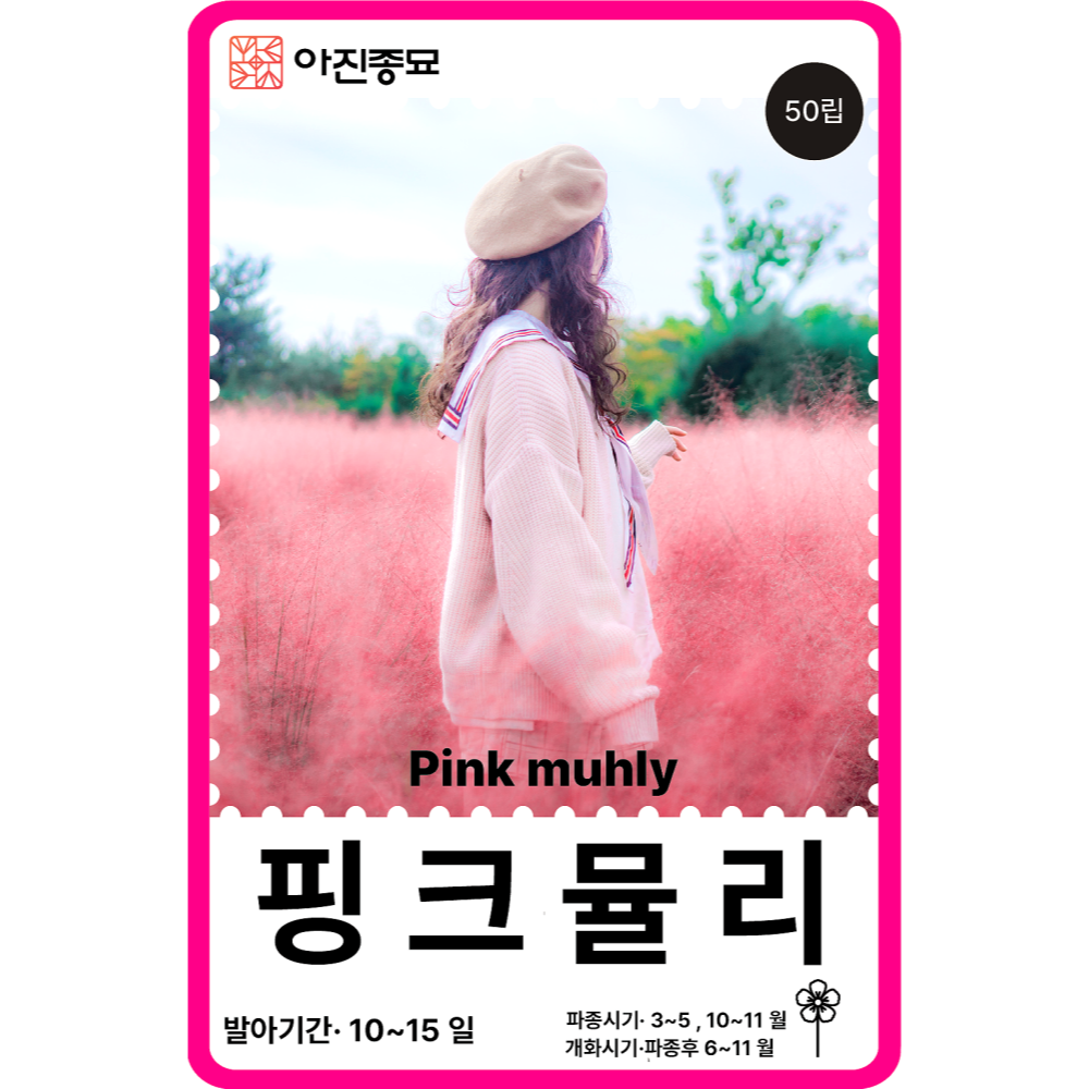 핑크뮬리 씨앗 50립 / 꽃씨 몰 봄 가을 꽃씨앗 다년생야생화 Pink muhly