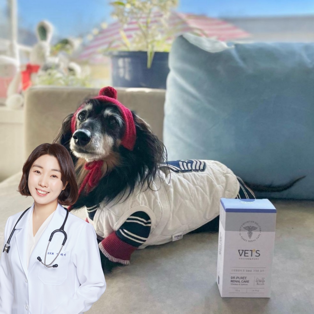 레날케어 한달분 강아지 신장 심장 영양제 신부전 오메가3 제품 이미지