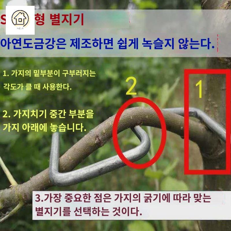 사과 과수원 가지고정 장치 클립 유인추 - 상세 이미지 2