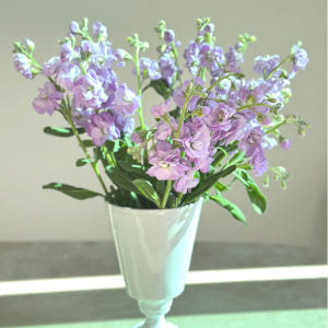 리틀캠든 스토크 2송이 스톡 생화 합리적인 온라인꽃집 솔직 후기 | 실사용자 리뷰 분석 - 상품 이미지 4