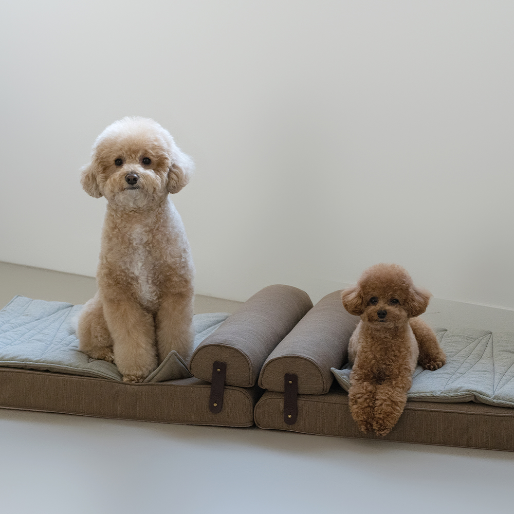 모어밀리 강아지 고양이 침대 올데이 베드 쇼파 해먹 - 상세 이미지 4